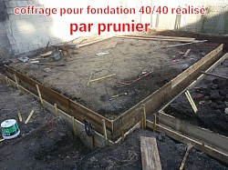 Fondation par prunier